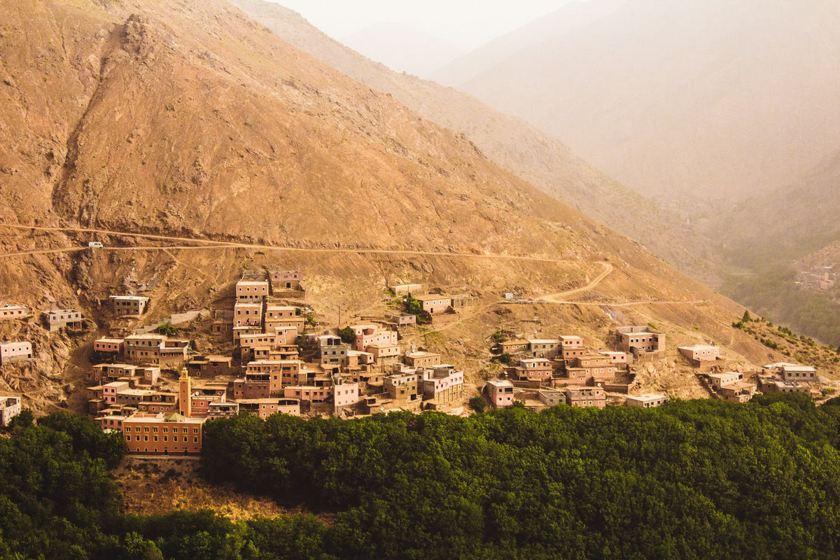 Berber village houses surrounded by green trees in the Atlas