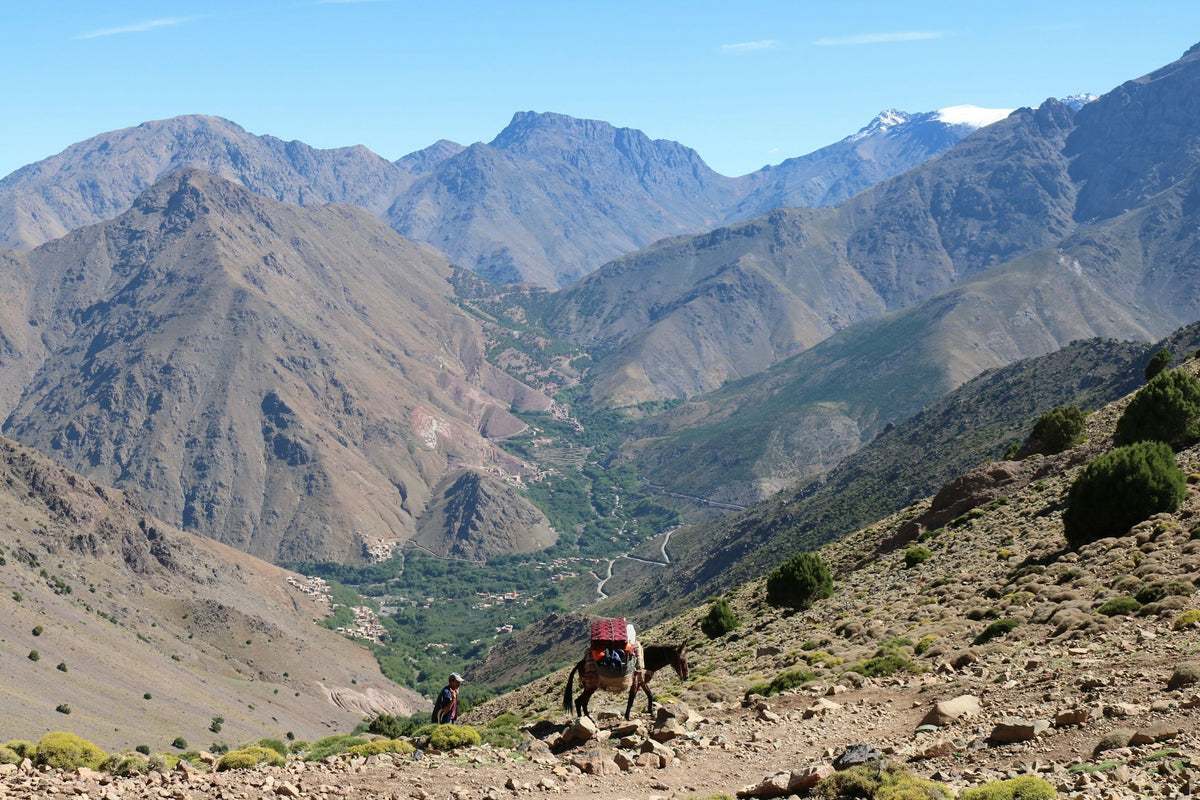 Man and horse in a green valley looking at the mountains