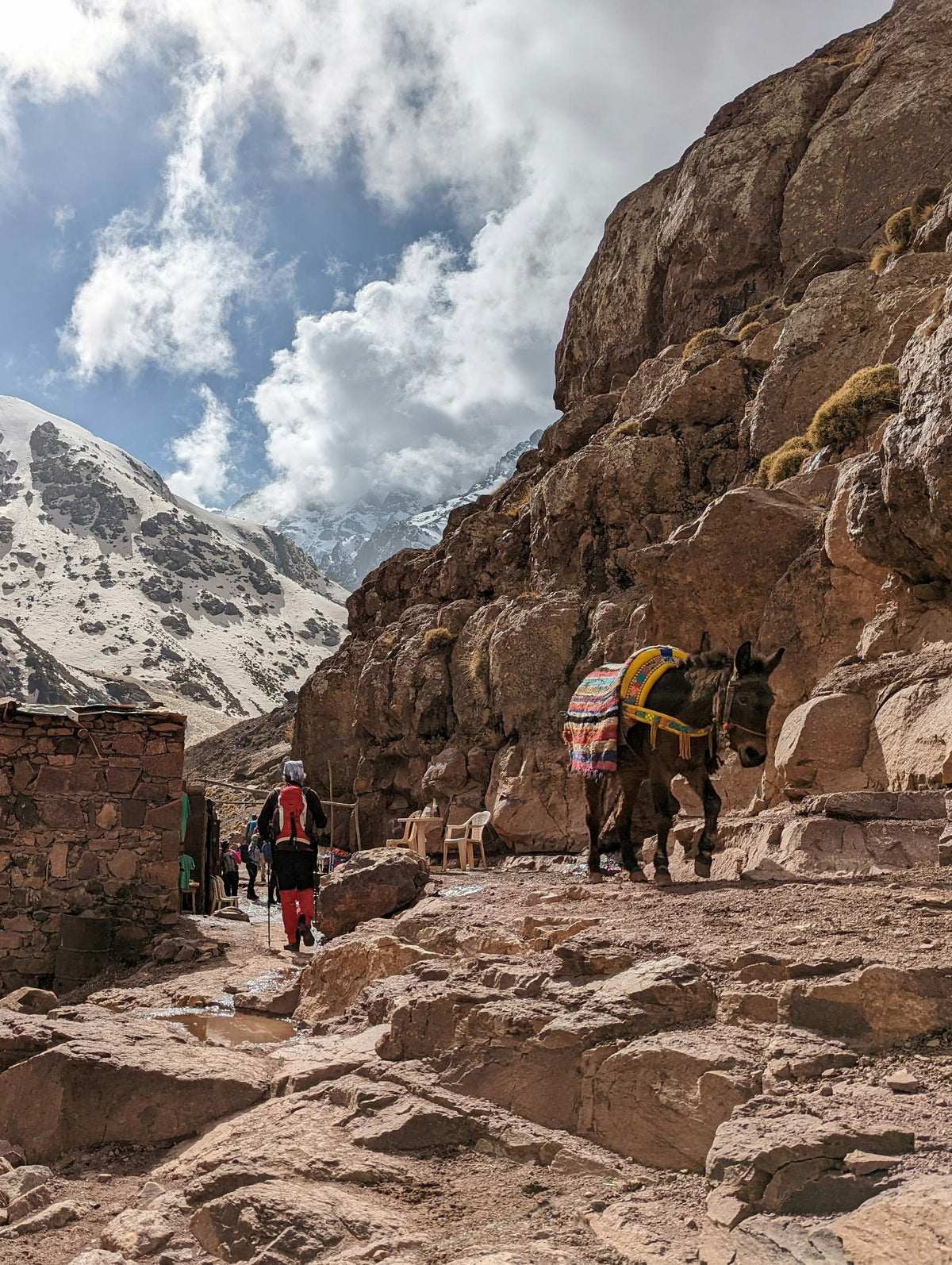 Mules on a rocky hillside on the Toubkal trail